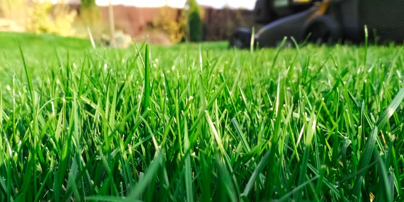 residential lawn mowing in Mississauga