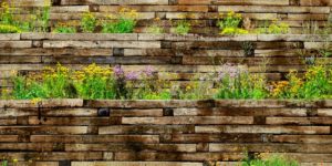 Wooden retaining wall