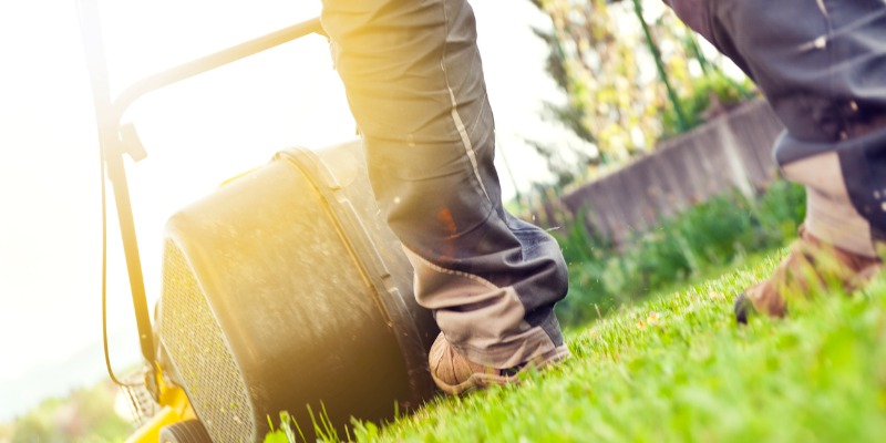 Your Go-To Spring & Summer Lawn Maintenance Checklist