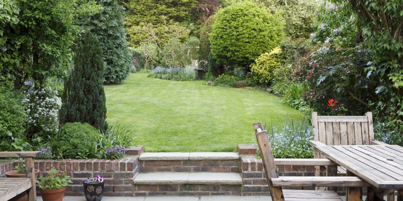 Landscaped garden in small space