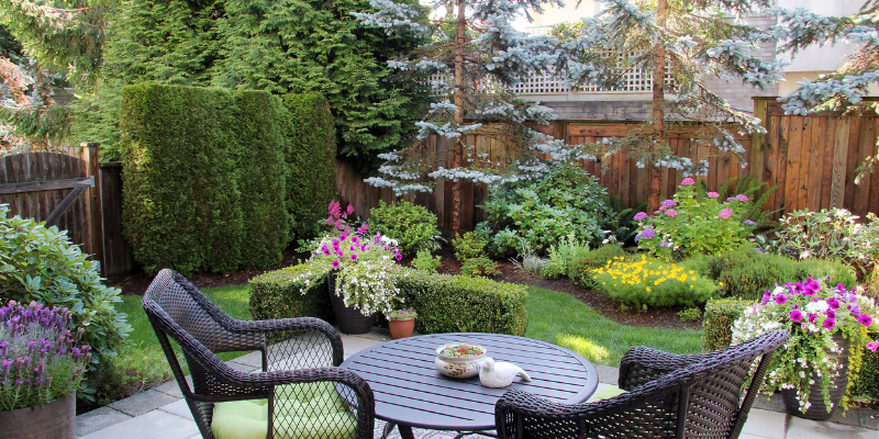 Small backyard with landscaping - What Are Some Affordable Ways to Create a Secluded Outdoor Oasis?