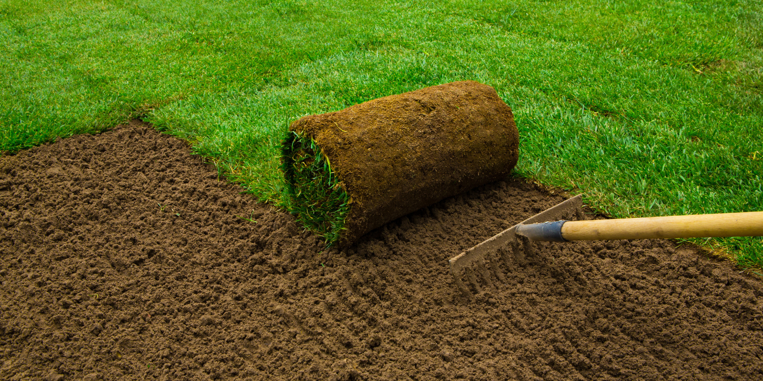 Installing new sod - What to Know About Sod Installation: Your Questions Answered 