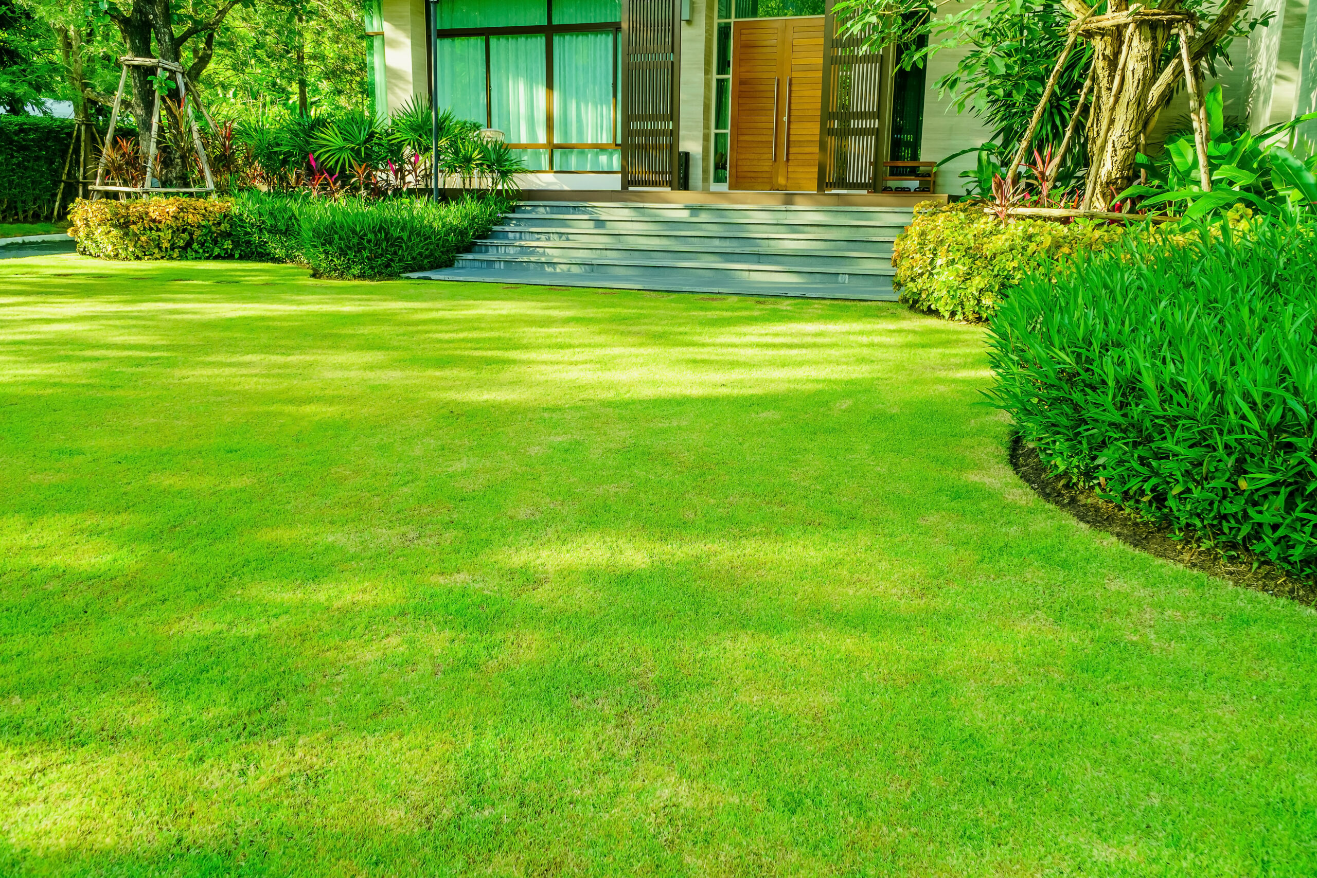 How to Nurture a New Lawn: Post-Installation Sod Care